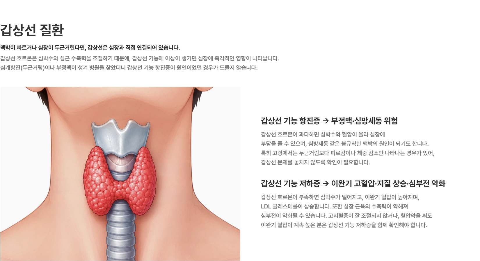 [갑상선 질환] 맥박이 빠르거나 심장이 두근거린다면 갑상선은 심장과 직접 연결되어 있습니다 갑상선 기능 항진증 부정맥·심방세동 위험 갑상선 기능 저하증